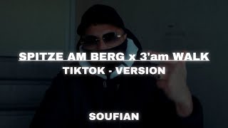 Spitze Am Berg  3am Walk  Slowed  Reverb ✘ TikTok Remix [upl. by Kasper308]