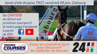 Ventes dété Arqana Trot  canters en direct de Cabourg [upl. by Shannah716]