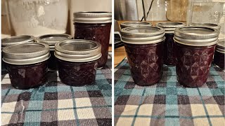 Blackberry Jam amp Blackberry Syrup [upl. by Eirrotal845]