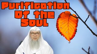 What are the steps of purification of the soul  assim al hakeem [upl. by Ayrb715]