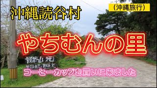 （沖縄旅行）沖縄読谷村のやちむんの里で気に入った焼き物見つけました [upl. by Ainedrag46]