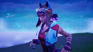 🥰 Party Hips by Fortnite Renegade Lynx Skin 😍 [upl. by Harvey281]