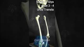 Surah Al Qiyamah Ayat3 to 4  youtubeshorts islamicscholar shortsvideo quranrecitation [upl. by Teiluj16]