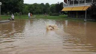 Hochwasser Ditzingen [upl. by Oriane]