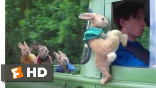 Peter Rabbit  Wet Willy Rescue Scene  Fandango Family [upl. by Ryle]