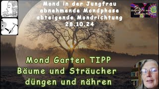 Mond Garten TIPP  Bäume und Sträucher jetzt düngen und nähren [upl. by Kevon]