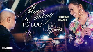 Muộn Màng Là Từ Lúc  Phương Thanh live at inthemoonlight [upl. by Nariko440]