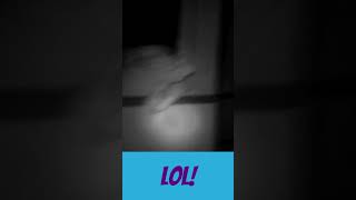 Bats are not paranormal but they are creepy ghosthunting indianastatesanitorium paranormal [upl. by Ogdon]