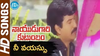 Nee Vayassu Video Song  Nayudu Gari Kutumbam Movie  Krishnam Raju  Suman  Sanghavi  Koti [upl. by Lleira]