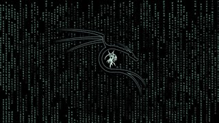 msfvenom amp msfconsole Kalilinux Hacking Tool [upl. by Narhet209]