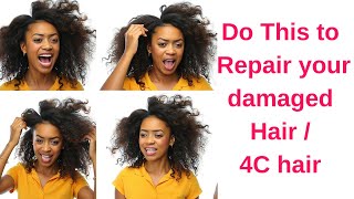 Do This to Repair your damaged Hair4c Hair 4chair hair naturalhair [upl. by Hadwin795]