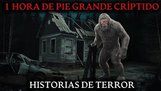 4 HISTORIAS DE TERROR Y CRÍPTIDOS 1 Horas  Historias de miedo para dormir [upl. by Kahle465]