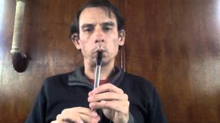 Oro Se Do Bheatha Bhaile  Tin Whistle [upl. by Einimod]