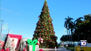 Holiday celebrations begin in Downtown Miami with Bayfront Park Christmas tree lighting [upl. by Marston152]