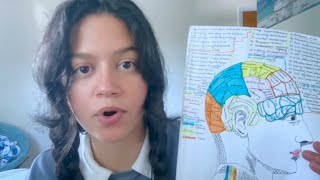 asmr • student phrenology skull bump exam [upl. by Hakan]