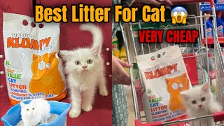 Very Economical Cat Litter  Wooden PalletCat Litter  Best amp Cheap Cat Litter [upl. by Eninahs240]