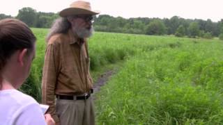 David quotDavequot Monk The Prairie Monk WEFT leads a National Pollinator Week Walk Meadowbrook Park [upl. by Khoury296]