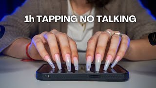 ASMR 1H of TAPPING NO TALKING  to STUDY WORK SLEEP [upl. by Nnaeirrac839]