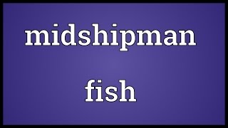 Midshipman fish Meaning [upl. by Kcirded]