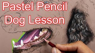 Pastel Pencil Lesson  Realistic Dog mouth  teeth  Jason Morgan Pet Portrait [upl. by Ariik]