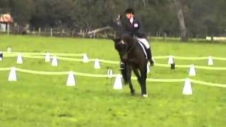 Stallion Luda Lacroix Dressage Highlights at Avenel HT Sept 2010 [upl. by Caryn497]