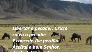 Cristo salva o pecador Hinaos Adventistas Nº 537wmv [upl. by Duck79]