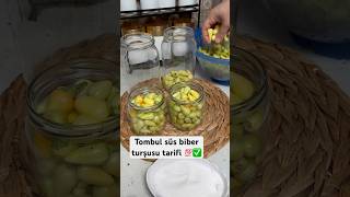 Sıcak suyla turşu tarifi✅ turşu turşutarifi biber keşfet youtubeshorts [upl. by Slerahc116]