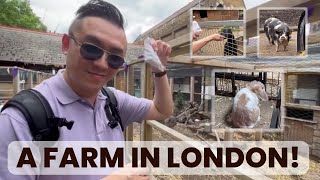 NEW EPISODE A farm in the middle of London [upl. by Amadeus]