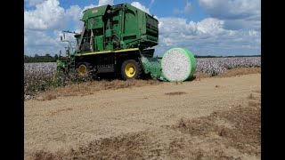 Cotton harvest delivering good yields [upl. by Ayhdnas]