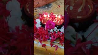 Karthika masam shivaya abhishekam Day 1🙏 please like share and subscribe to our channel 😍 [upl. by Nailliw286]