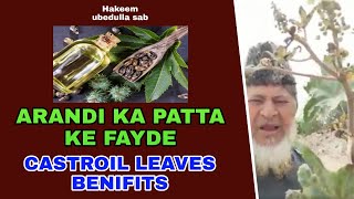 ARANDI KA PATTA KE FAYDE CASTOR LEAVES BENEFITS  UBED ULLA [upl. by Leik441]