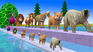 Paint Animals CowTigerBearLionDog Fountain Crossing Transformation Cartoon [upl. by Roderick894]