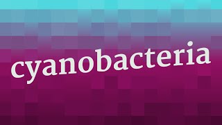 CYANOBACTERIA pronunciation • How to pronounce CYANOBACTERIA [upl. by Demaggio]