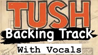 ZZ Top Tush Guitar Backing Track [upl. by Anayet308]