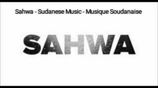 Groupe Sahwa du Soudan  Sahwa Music Band from Sudan [upl. by Oznola]