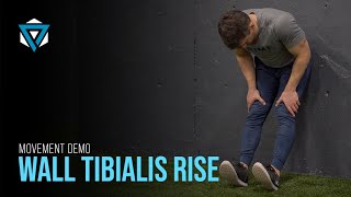 Wall Tibialis Raise [upl. by Amilb]