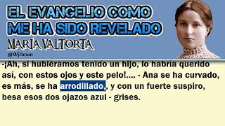 140 Visiones de María Valtorta La Vida Oculta El Evangelio como me ha sido Revelado [upl. by Claribel]