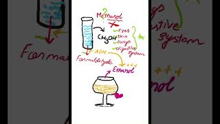 How Getting Drunk Can Save You from Methanol Poisoning [upl. by Monahon]