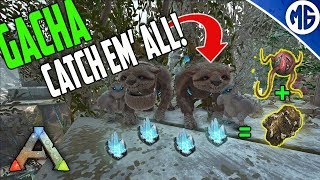 GACHA CATCH THEM ALL Extinction  Small Tribe Servers  Maybe Solo Maybe Duo [upl. by Nowtna]