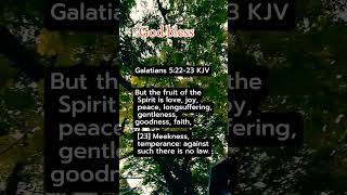 GALATIANS 52223KJV christianfaith godsholyword fypシ゚viral bibleverse [upl. by Nail]