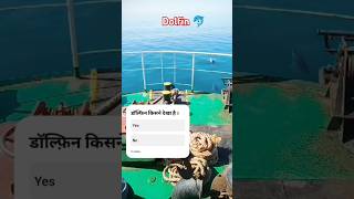 डॉल्फ़िन किस किसने देखा है। सबसे inteligent fish 🐠dolfinडॉल्फ़िनफ्रंटऑफmyship youtubeshorts [upl. by Ynnoj780]