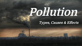 Pollution Mini Documentary Types  Causes  Effects [upl. by Angus]