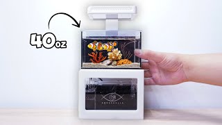 A Nano Reef Tank You Can Put Anywhere [upl. by Elyod]