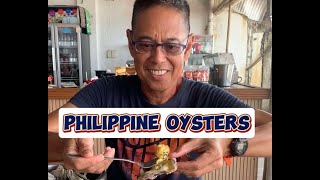 Philippine Oysters New Washington Aklan [upl. by Malchus]