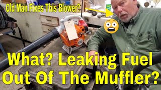 Stihl BG56c Handheld Blower Leaking Fuel Out Of Muffler [upl. by Tatman]