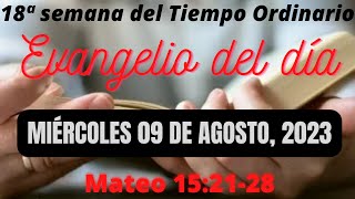 Evangelio del Miércoles 09 de Agosto 2023  Mateo 152128 [upl. by Dub630]