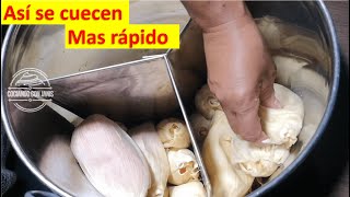 🤔 Como se ACOMODAN los TAMALES en la OLLA o Vaporera [upl. by Hawker]