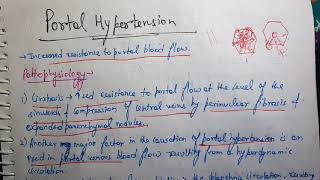 Portal Hypertension Pathology [upl. by Dripps91]