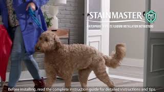 Stainmaster Pet Protect Installation Video [upl. by Sherlock]