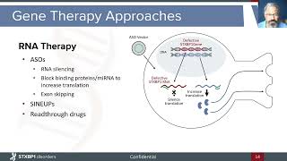 Gene Therapy Approaches for STXBP1 Related Disorders [upl. by Adis]